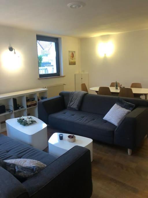 Maison De Village Pres De Colmar De 90 M2 Horbourg المظهر الخارجي الصورة