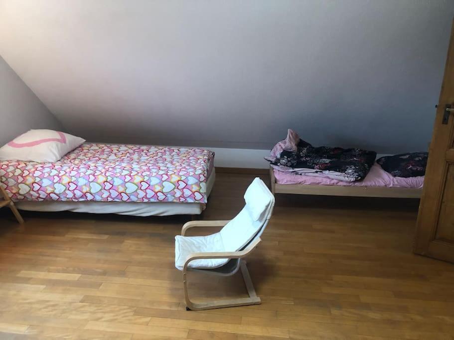 Maison De Village Pres De Colmar De 90 M2 Horbourg المظهر الخارجي الصورة